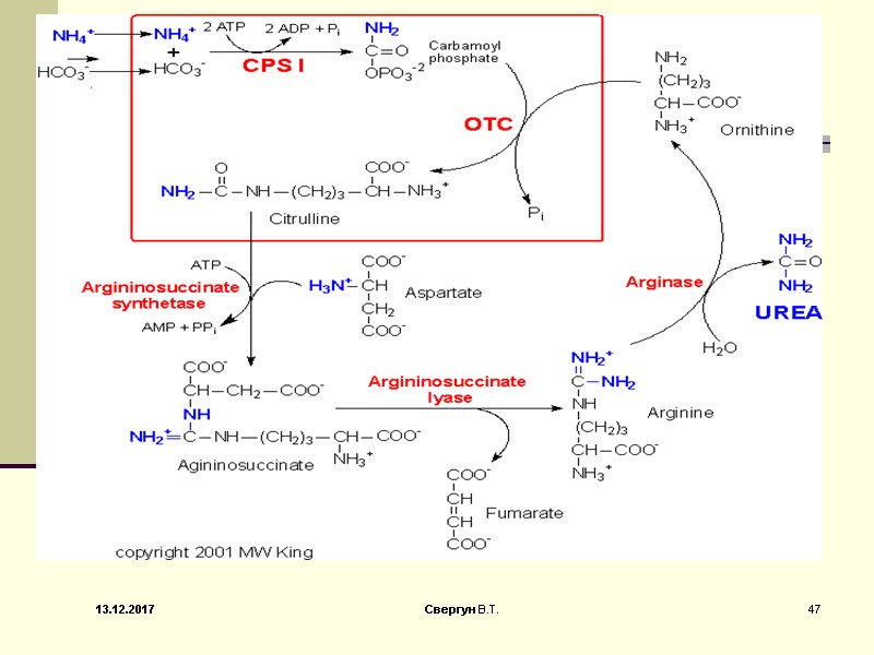 13.12.2017 47 Свергун В.Т.